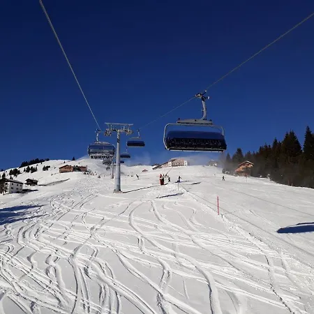 Schnetzer Au شقة Au (Bregenz)