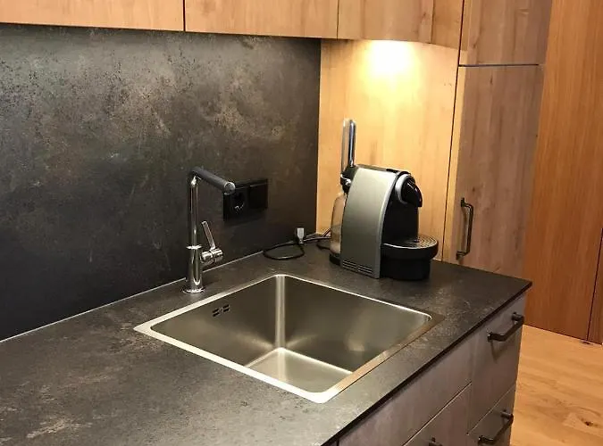 Schnetzer Au Au (Bregenz)