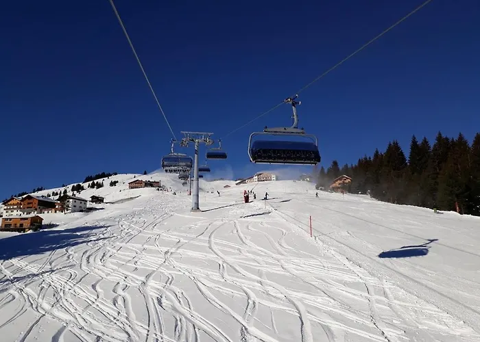 Schnetzer Au Апартаменты Au (Bregenz)