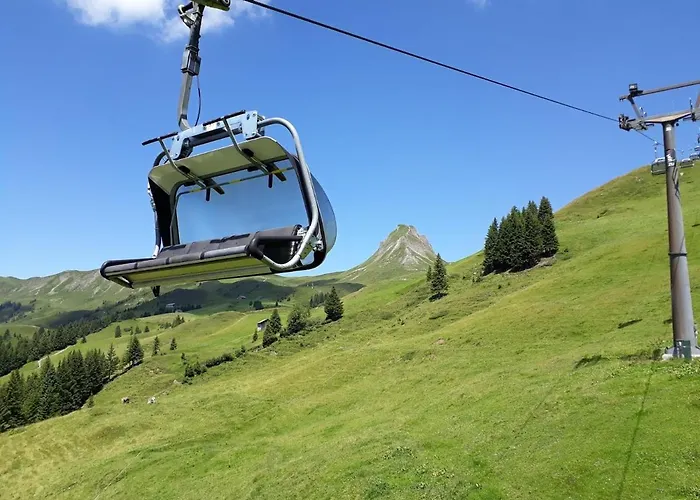 Апартаменты Schnetzer Au